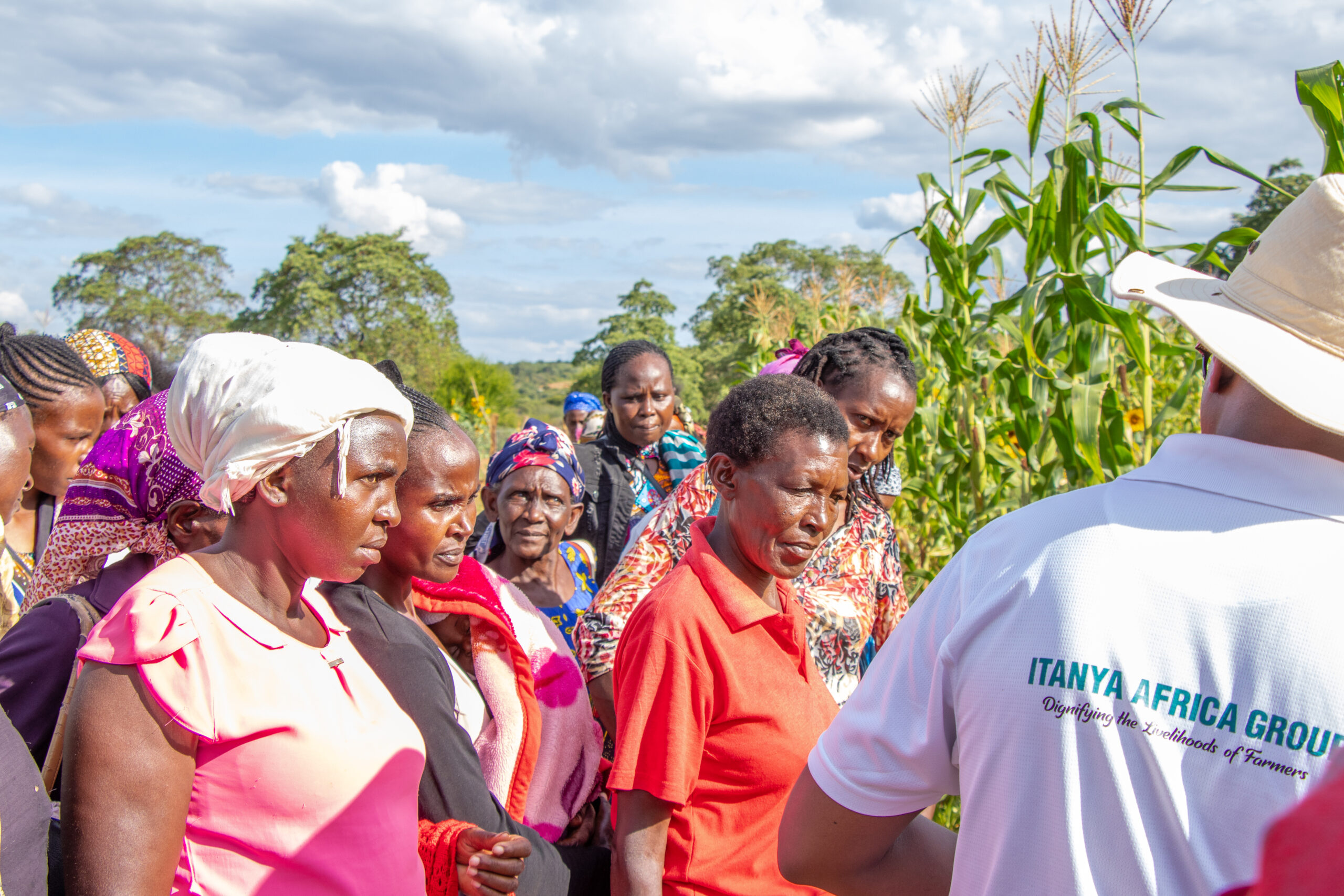 Farmers get a live demonstration of regenerative agricultural practices on our demo farm in Machakos.