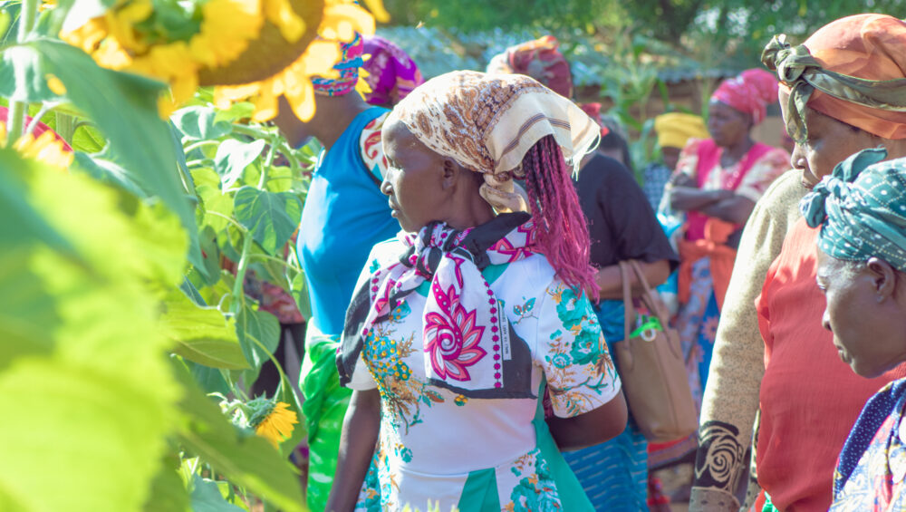 Farmers receiving training