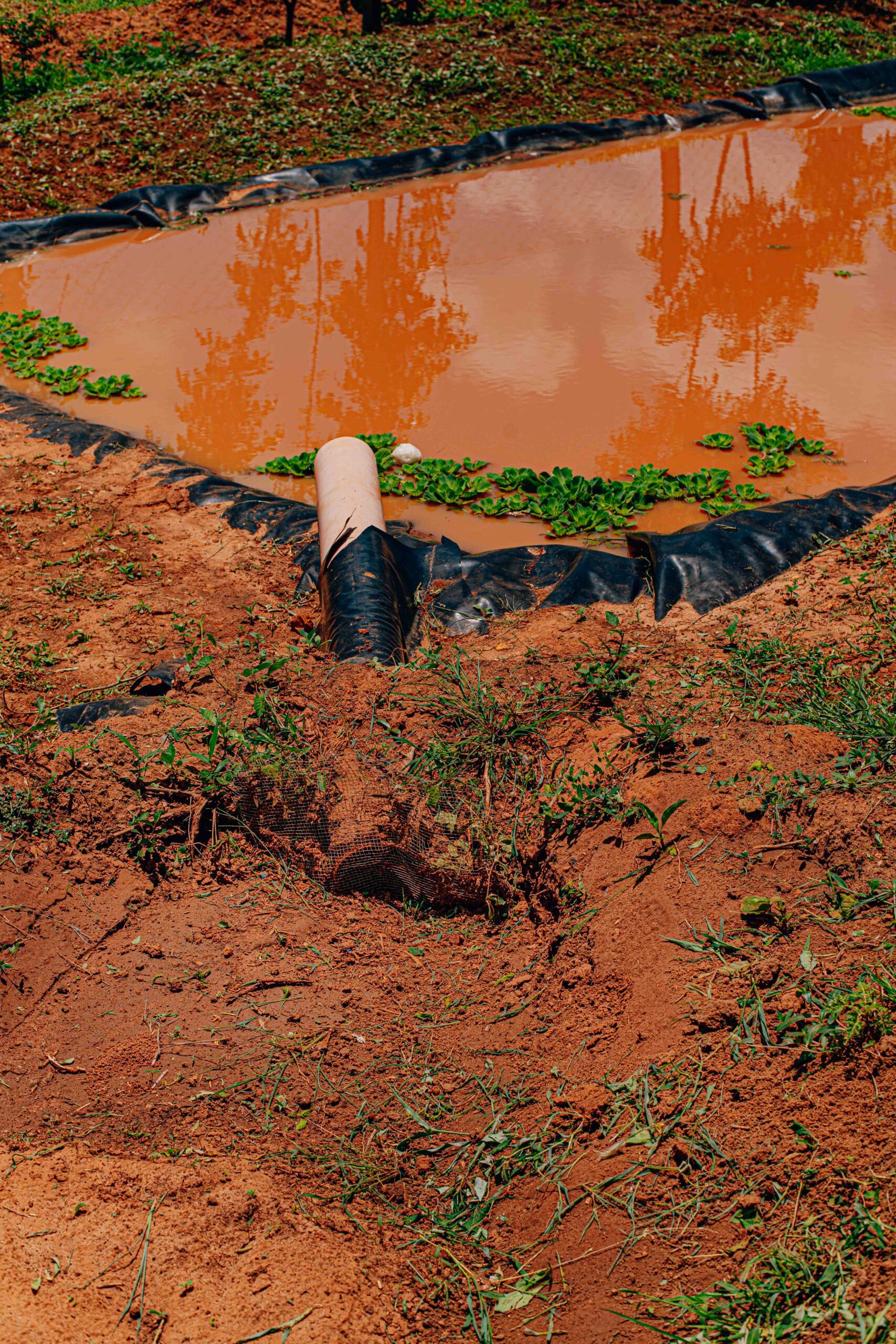 A pan filled with water.