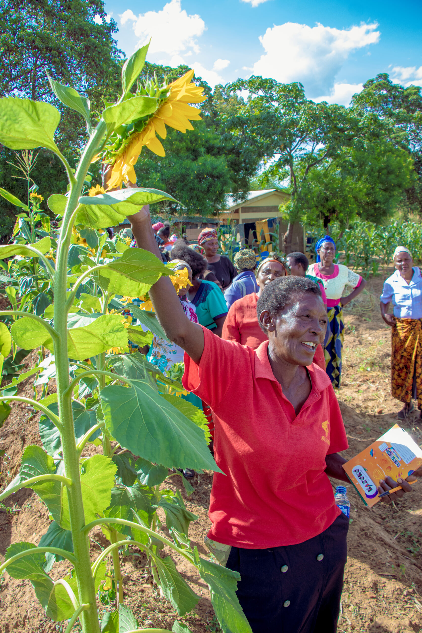Farmers getting a live demonstration of regenerative agricultural techniques and their benefits.