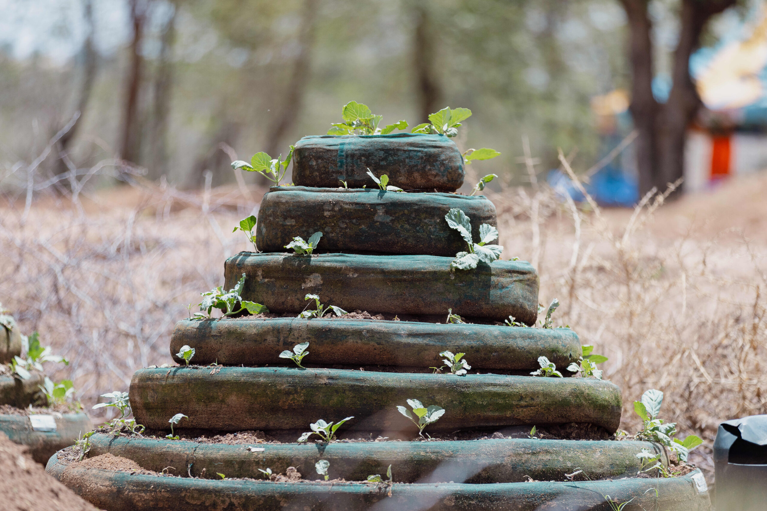 A vertical garden on our demo farm.